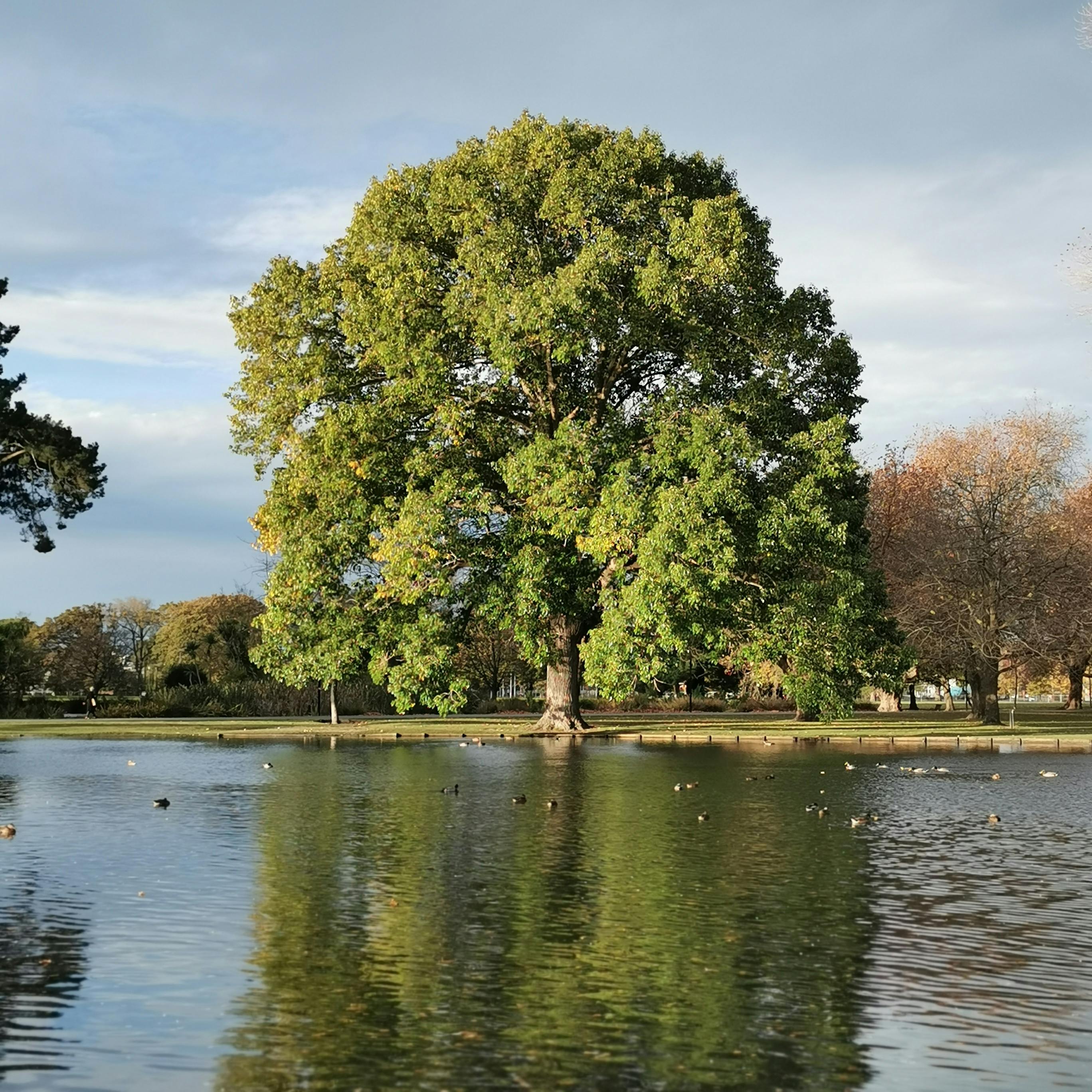 Your Property,Looked After